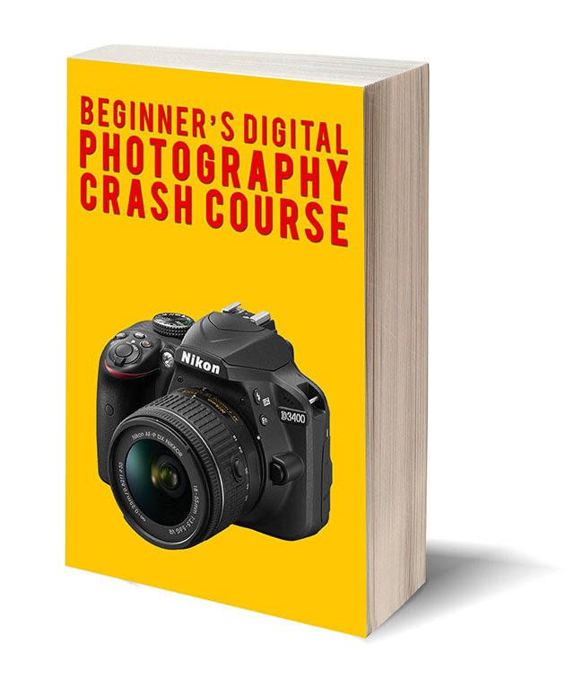 Beginner's Digital Photography Crash Course